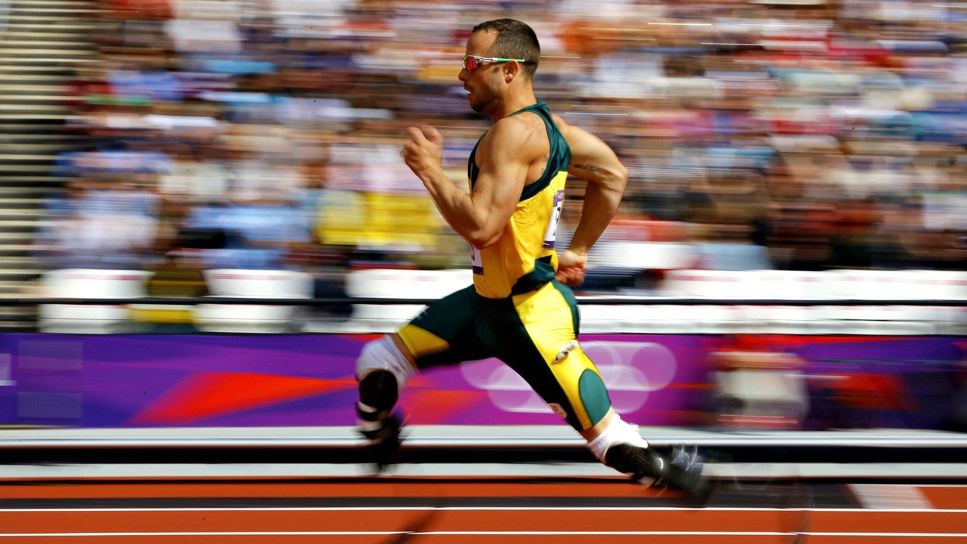 体育专业研究生就业趋势分析报告，体育专业的研究生就业情况